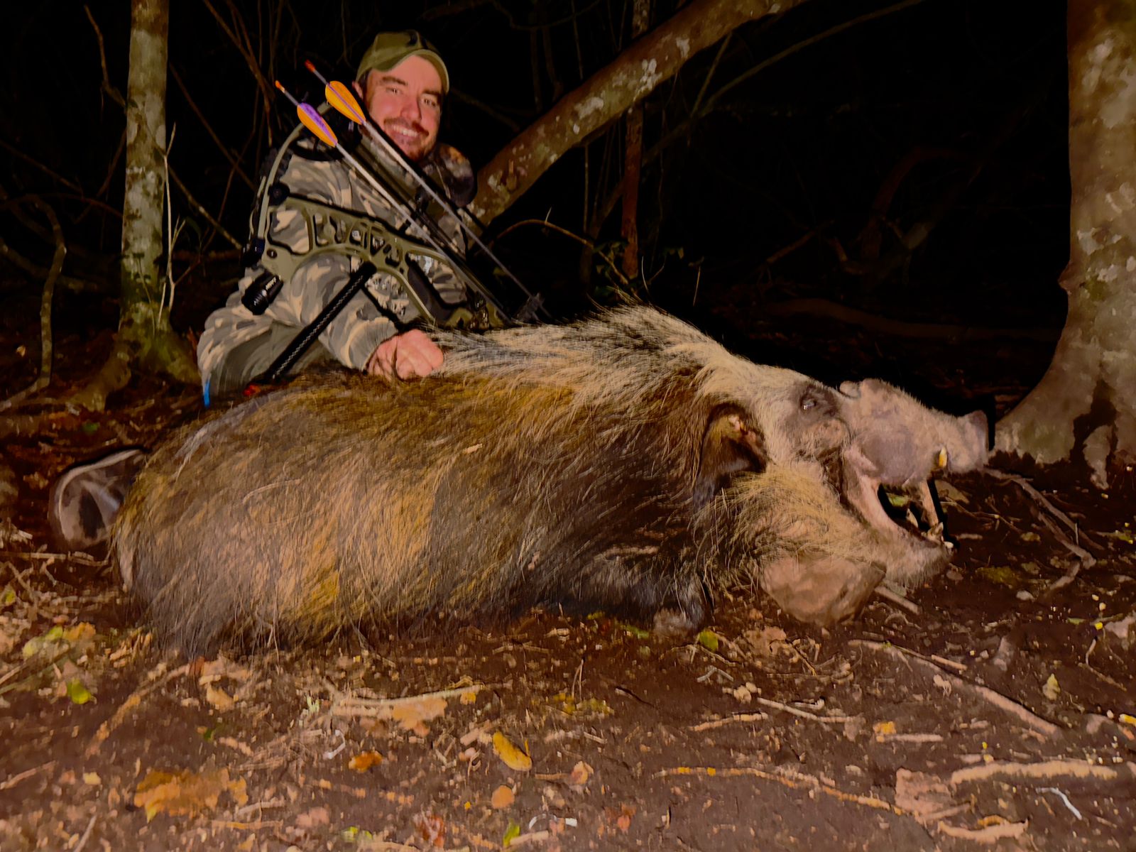 A hunter with a large harvested bushpig at night, Goshawk arrows visible in his quiver